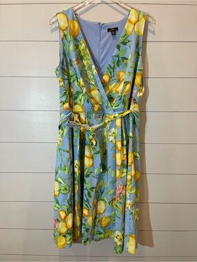 R&K Sky Blue & Lemons Floral Midi Sleeveless Dress Womens Size 16W